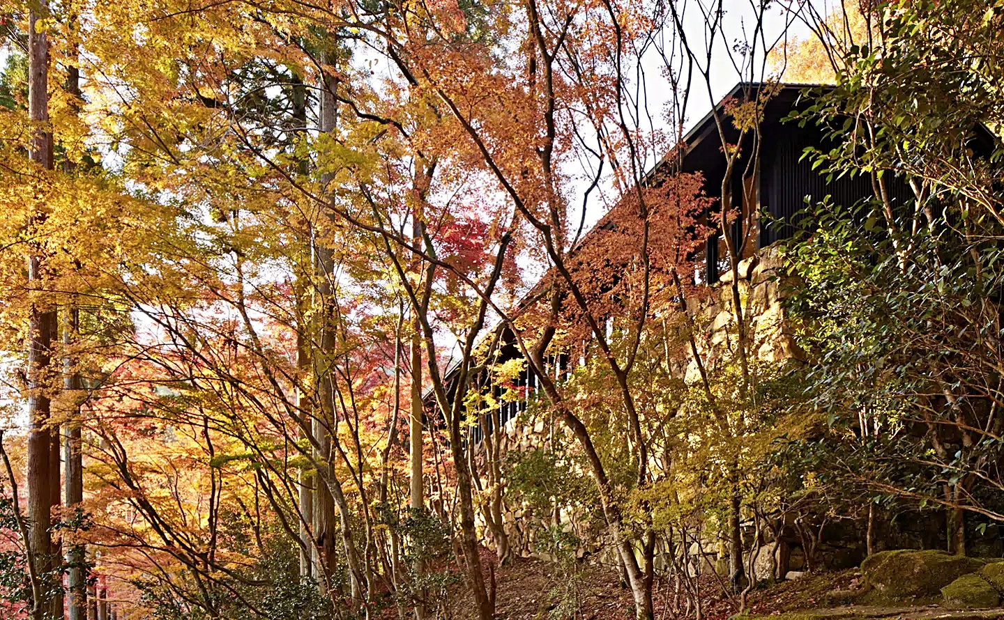 다카가미네 스위트